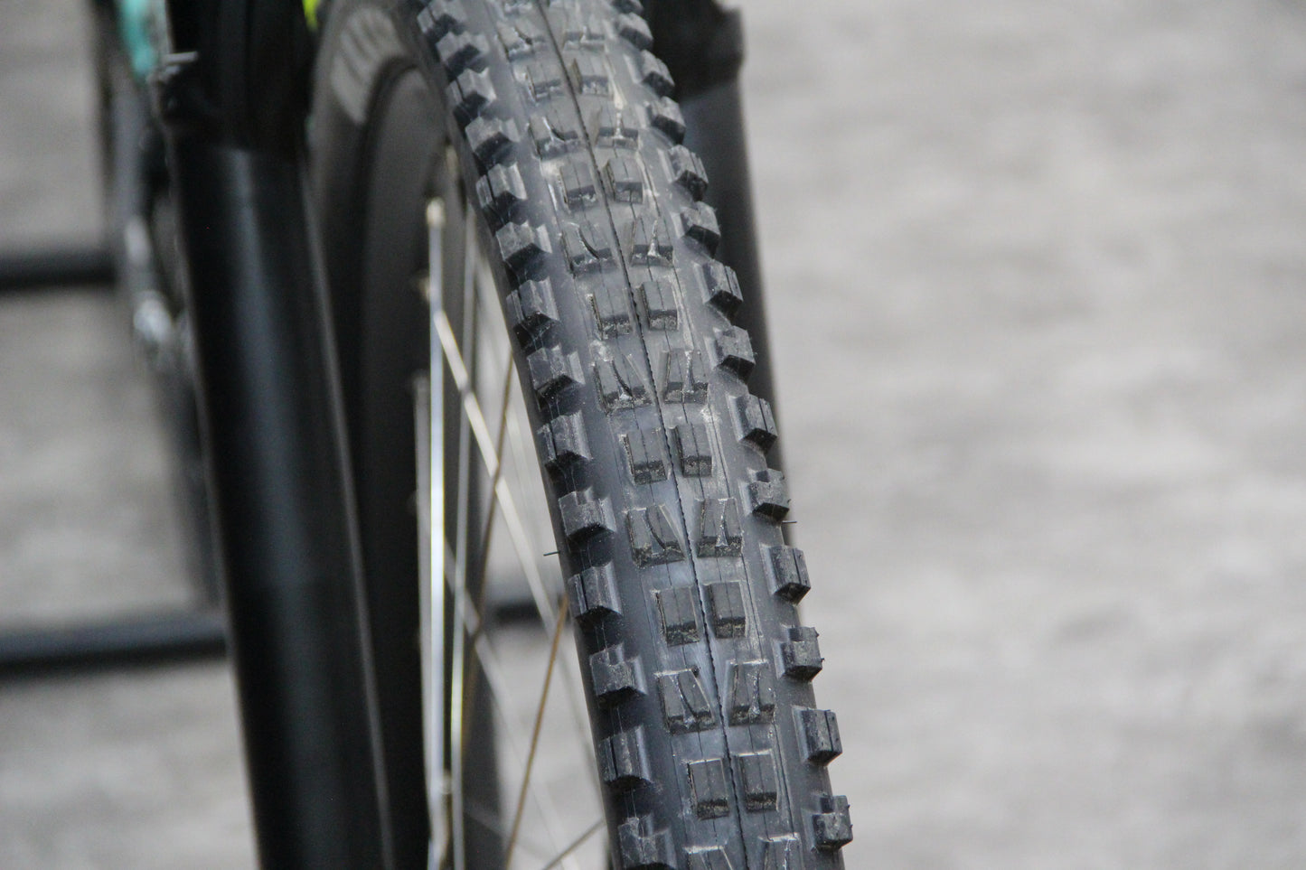 2019 Marin Alpine Trail