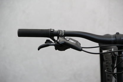 2021 Trek Remedy 8