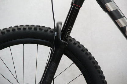2021 Trek Remedy 8