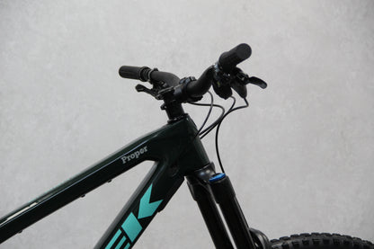 2019 Trek Slash