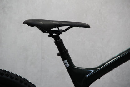2019 Trek Slash