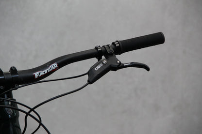 2019 Trek Slash