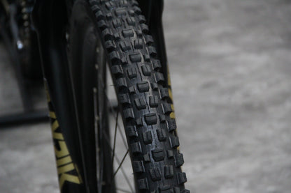 2021 Trek Remedy 8