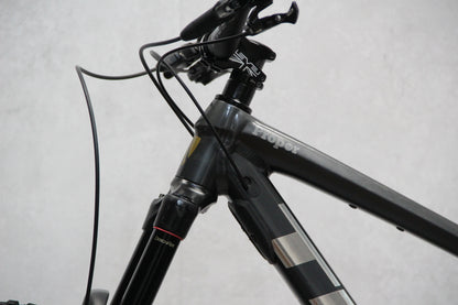 2021 Trek Remedy 8