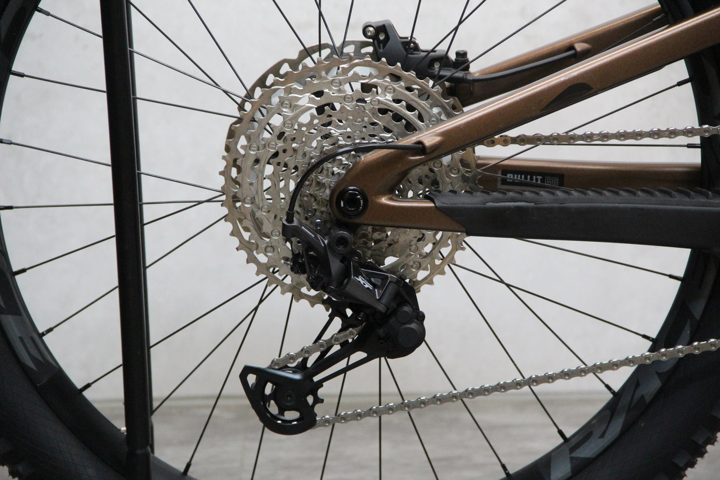 2022 Santa Cruz Bullit (E Bike)