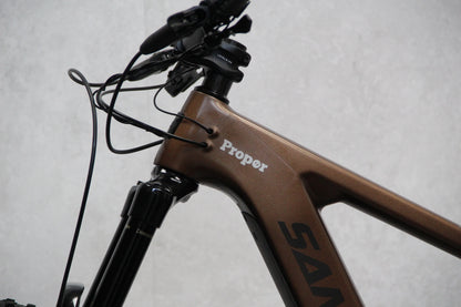 2022 Santa Cruz Bullit (E Bike)