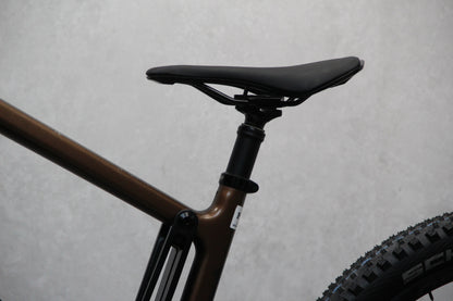 2022 Santa Cruz Bullit (E Bike)