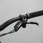 2023 Vitus Escarpe