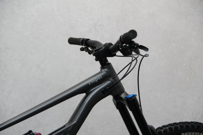 2021 Specialized Status 160