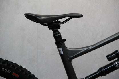 2021 Specialized Status 160
