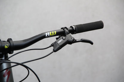 2021 Specialized Status 160