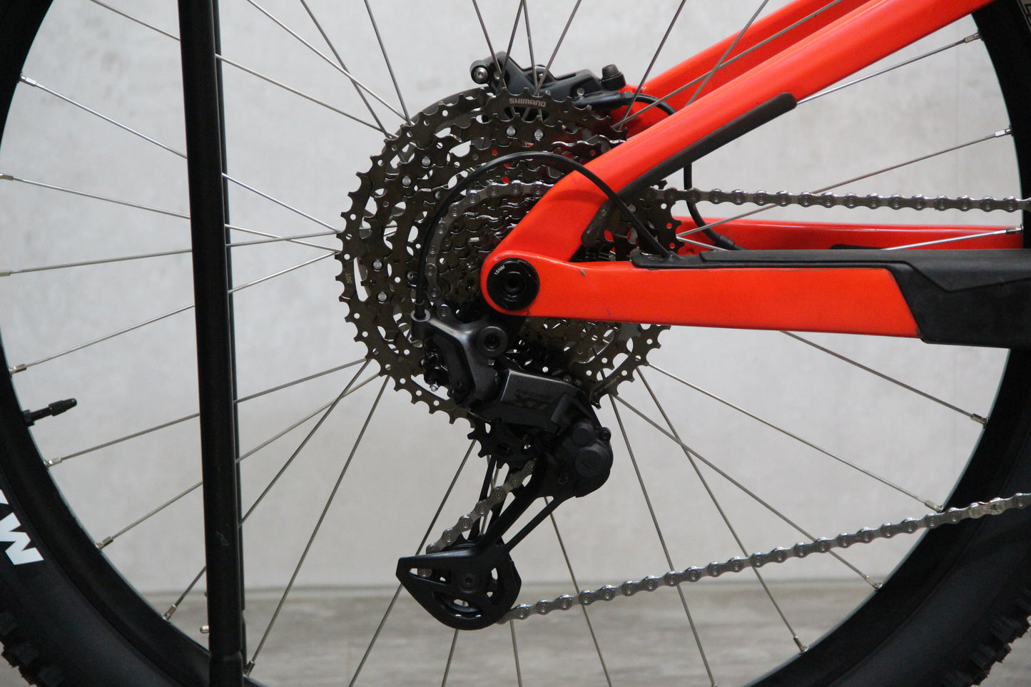 2019 Orbea Rallon