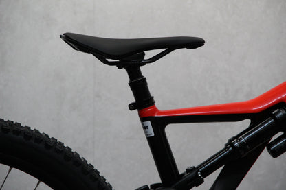 2019 Orbea Rallon