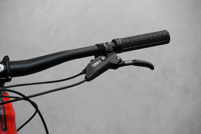 2019 Orbea Rallon
