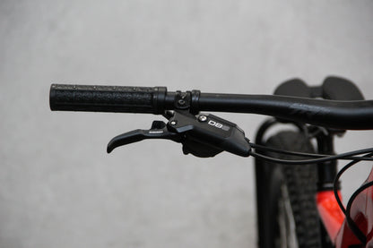 2019 Orbea Rallon