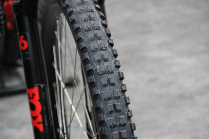 2019 Orbea Rallon