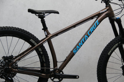 2020 Santa Cruz Chameleon