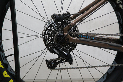 2020 Santa Cruz Chameleon