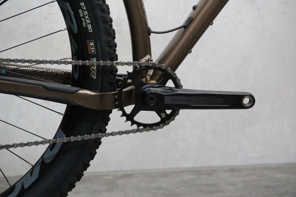 2020 Santa Cruz Chameleon