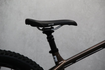 2020 Santa Cruz Chameleon