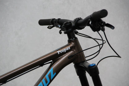 2020 Santa Cruz Chameleon