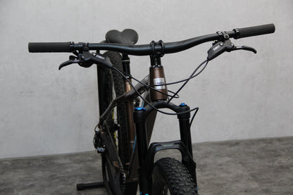 2020 Santa Cruz Chameleon