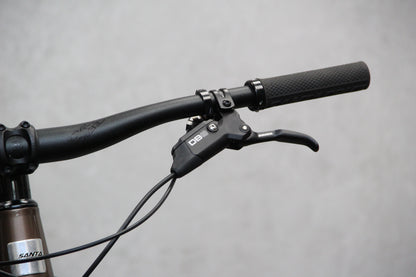 2020 Santa Cruz Chameleon