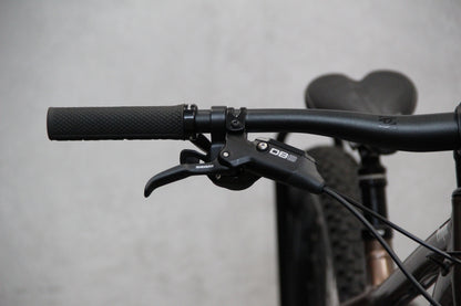 2020 Santa Cruz Chameleon