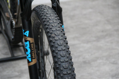 2020 Santa Cruz Chameleon