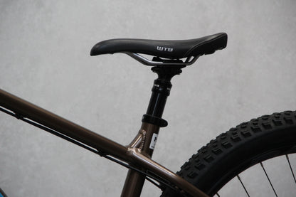 2020 Santa Cruz Chameleon