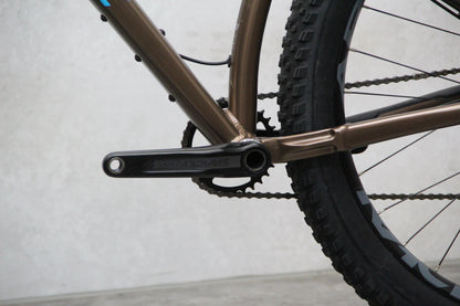 2020 Santa Cruz Chameleon