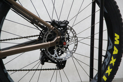 2020 Santa Cruz Chameleon