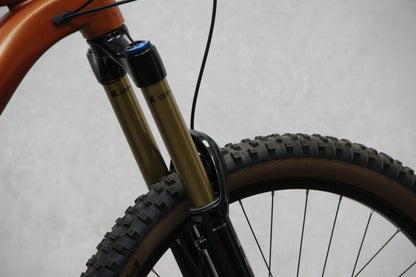 2021 Whyte E160 (E Bike)