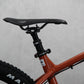 2019 Santa Cruz Chameleon
