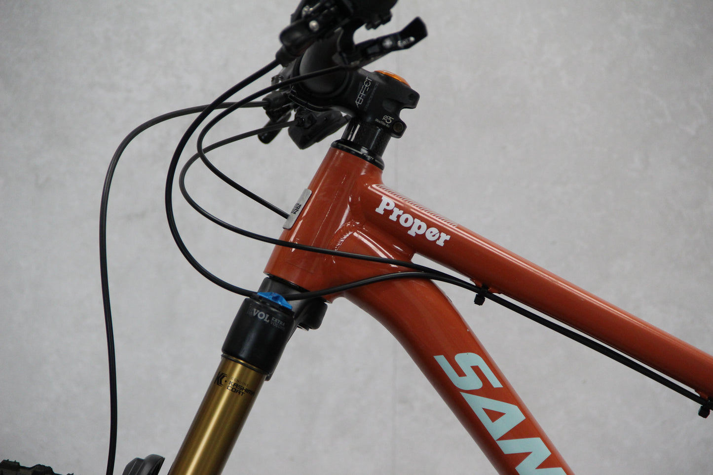 2019 Santa Cruz Chameleon
