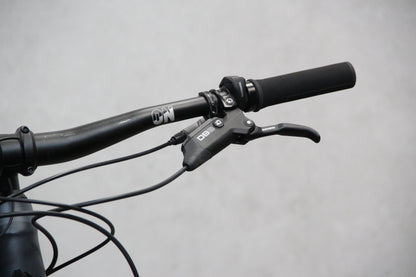 2021 Canyon Spectral:ON (E Bike)