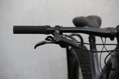 2021 Canyon Spectral:ON (E Bike)