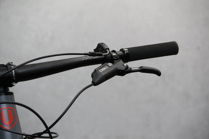 2019 Mondraker Foxy