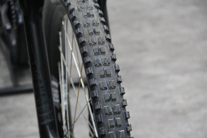 2019 Mondraker Foxy