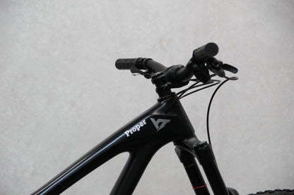 2020 YT Capra