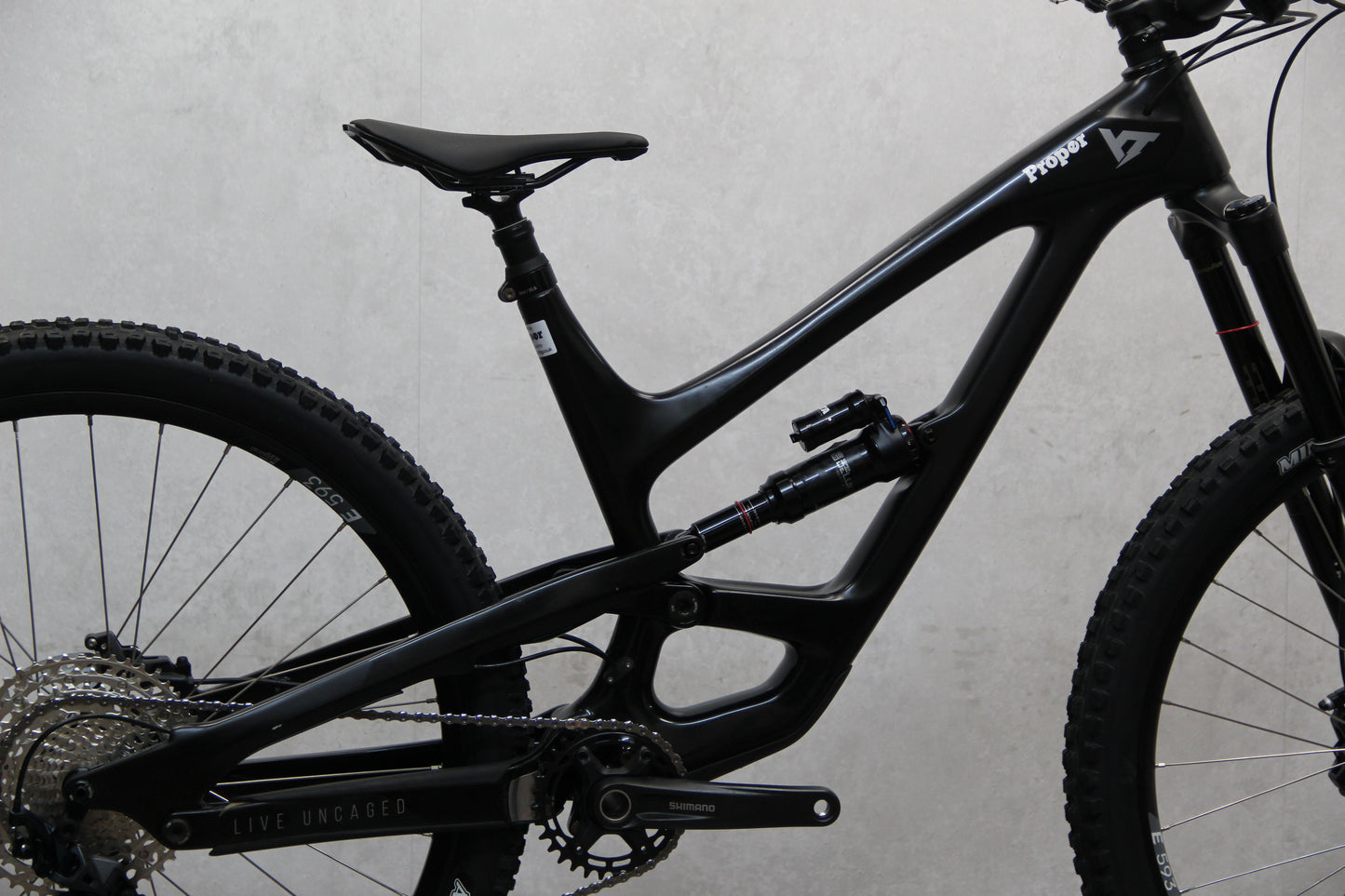2020 YT Capra