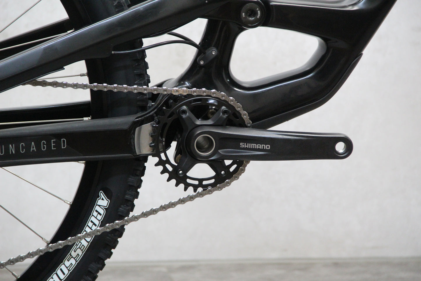 2020 YT Capra