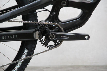 2020 YT Capra