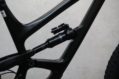 2020 YT Capra