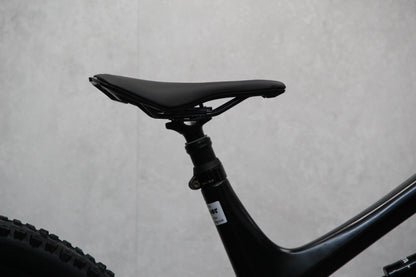 2020 YT Capra