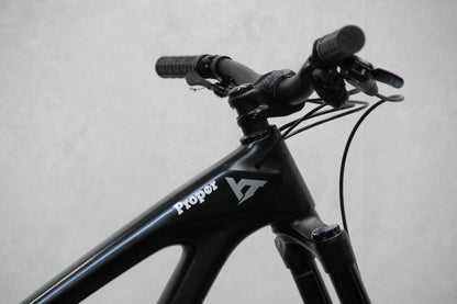 2020 YT Capra