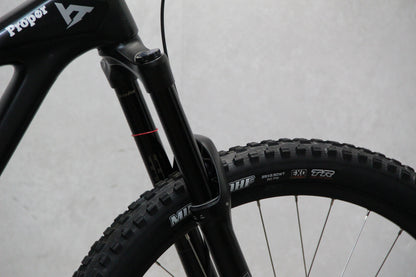 2020 YT Capra