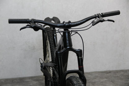 2020 YT Capra
