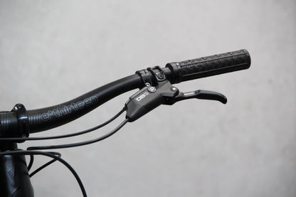 2020 YT Capra
