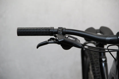 2020 YT Capra